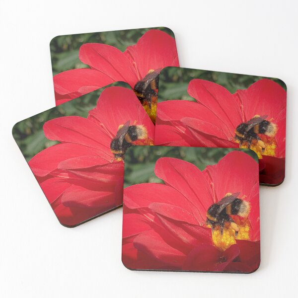 Item preview, Beautiful Red Dahlia Flower with Bumblebee insect gathering pollen 067 designed and sold by Bees-n-Flowers.