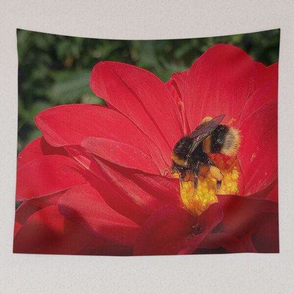Item preview, Beautiful Red Dahlia Flower with Bumblebee insect gathering pollen 067 designed and sold by Bees-n-Flowers.