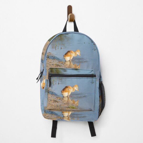 Item preview, Sandchill crane chick in water and its reflection designed and sold by Zina Stromberg.