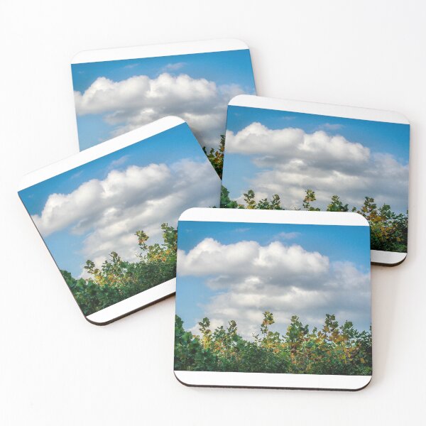 Item preview, CUMULUS and SYCAMORES, Bryantown, Maryland, 2007 designed and sold by jwhimages.