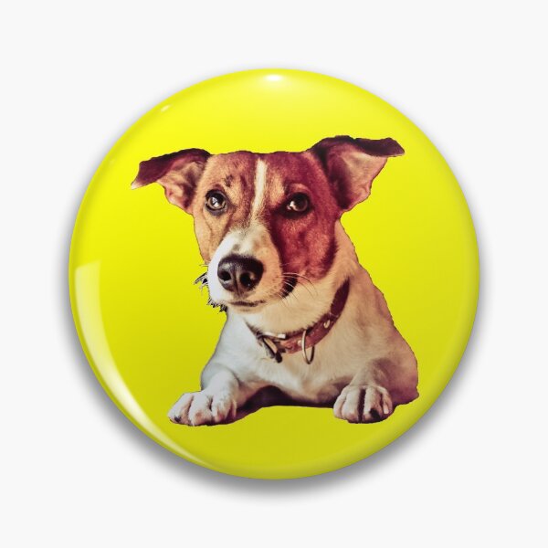 Artikelvorschau, Jack Russell Terrier entworfen und verkauft von C.T. Photography.