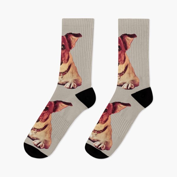 Item preview, Jack russell terrier designed and sold by C.T. Photography.