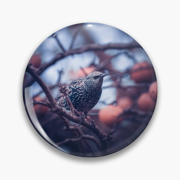 Item preview, Starling Among the Apples designed and sold by Kipcio.