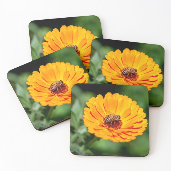 Item preview, Honeybee on Orange Daisy flower designed and sold by Marinuzzi.