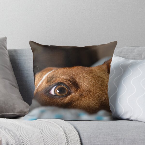 Item preview, Jack Russell Terrier designed and sold by C.T. Photography.
