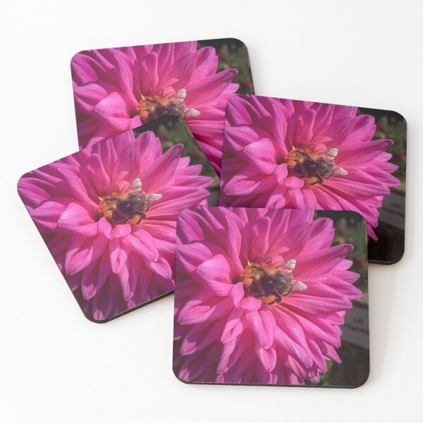 Item preview, Dahlia Ambition Pink Magenta Flower with Pollinating Bee 069 designed and sold by Bees-n-Flowers.