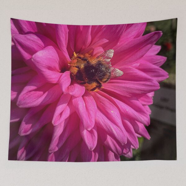 Item preview, Dahlia Ambition Pink Magenta Flower with Pollinating Bee 069 designed and sold by Bees-n-Flowers.