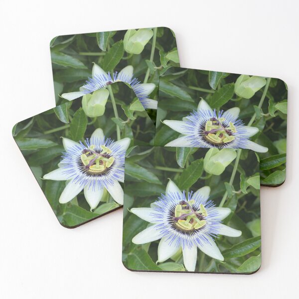 Item preview, Passiflora Caerulea Flower designed and sold by D1mon.