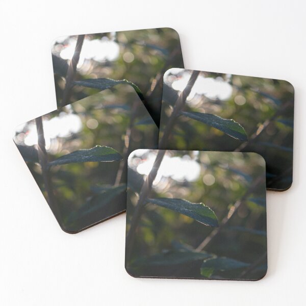 Item preview, Leaves in the Sunshine designed and sold by craig777red.