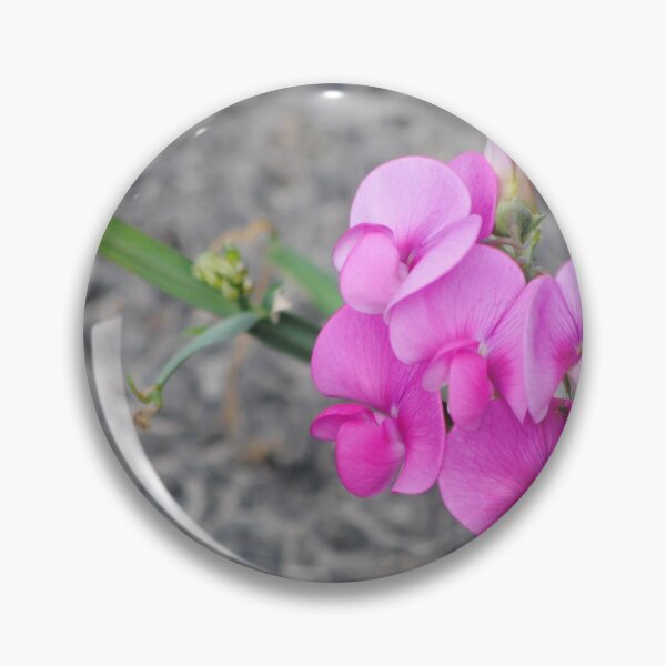 Item preview, Flowers on Concrete designed and sold by Tamara McDonnell.