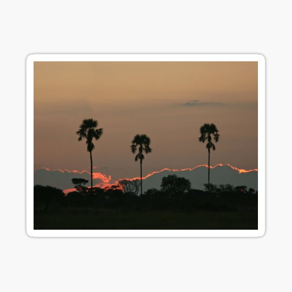 Vista previa del artículo con la obra «Puesta de sol africana. Parque Nacional Chobe, Sudáfrica.», diseñado y vendido por KarenZuk.