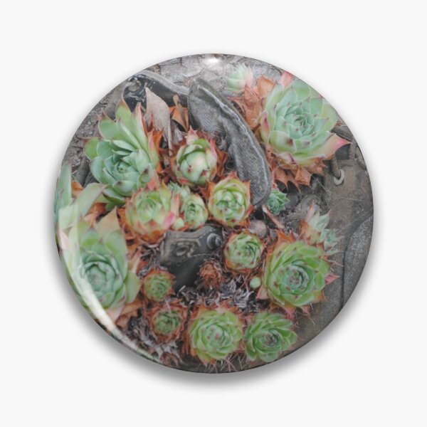 Item preview, Hens and Chicks in Boots designed and sold by Tamara McDonnell.