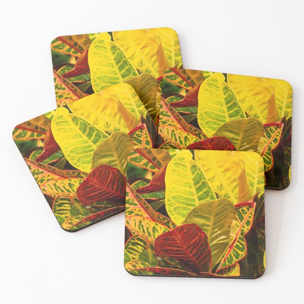 Item preview, Tropical fire croton colorful leaves designed and sold by Zina Stromberg.