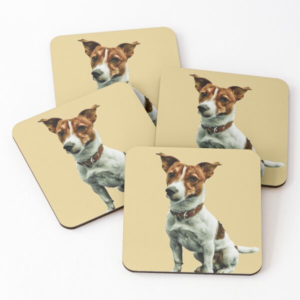 Artikelvorschau, Jack Russell entworfen und verkauft von C.T. Photography.