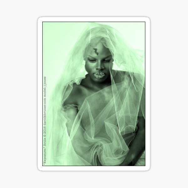 Monsters in the Fog --san francisco Sticker