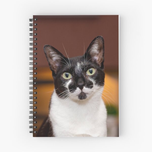 Item preview, Fluffy, the cat designed and sold by Marinuzzi.
