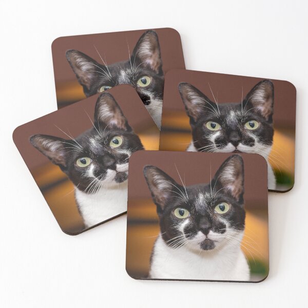 Item preview, Fluffy, the cat designed and sold by Marinuzzi.