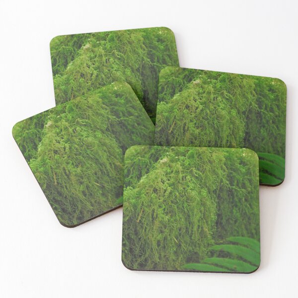 Item preview, Moss and Fern designed and sold by Tamara McDonnell.