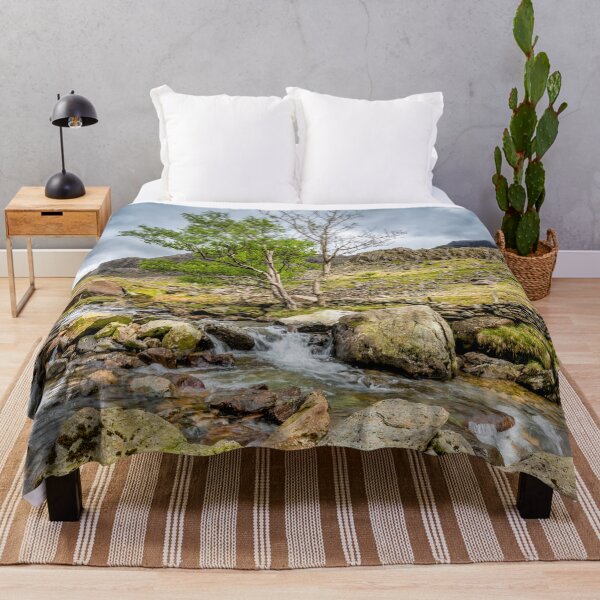 Item preview, Mountain Stream Llanberis Pass Snowdonia  designed and sold by AJEvans.