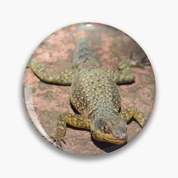 Item preview, Lizard at Iguazu Falls, Argentina designed and sold by HazelWright.
