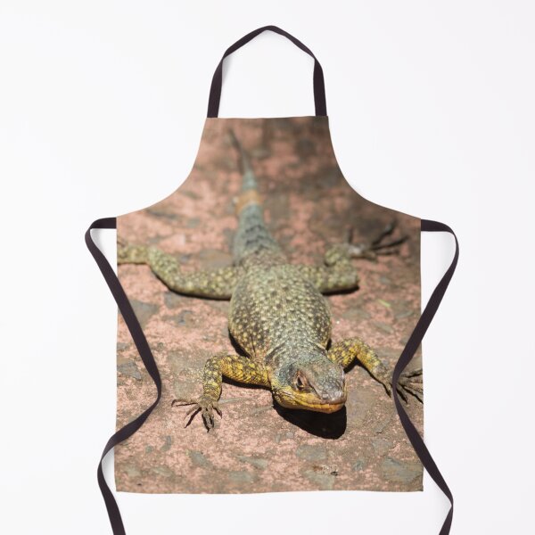 Item preview, Lizard at Iguazu Falls, Argentina designed and sold by HazelWright.