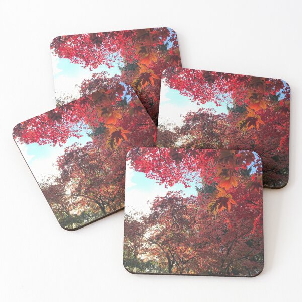 Item preview, Autumn Leaves - Westonbirt Arboretum  designed and sold by R-DPhotos.