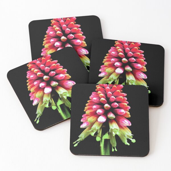 Item preview, plant photography: flower designed and sold by Leazzz.