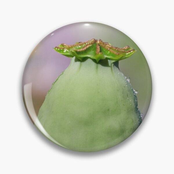 Item preview, Green before it pops 17 designed and sold by Jouko Lehto Photography.