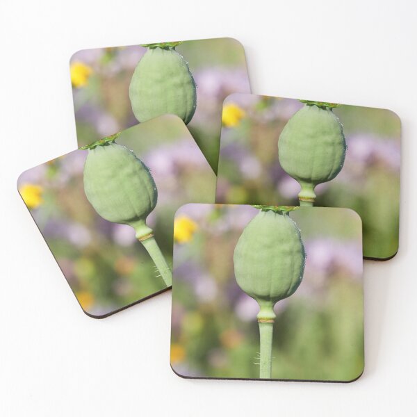 Item preview, Green before it pops 17 designed and sold by Jouko Lehto Photography.