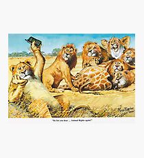 Animal rights Photographic Print