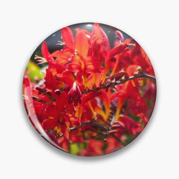 Item preview, Summer on fire designed and sold by LindaCooke.