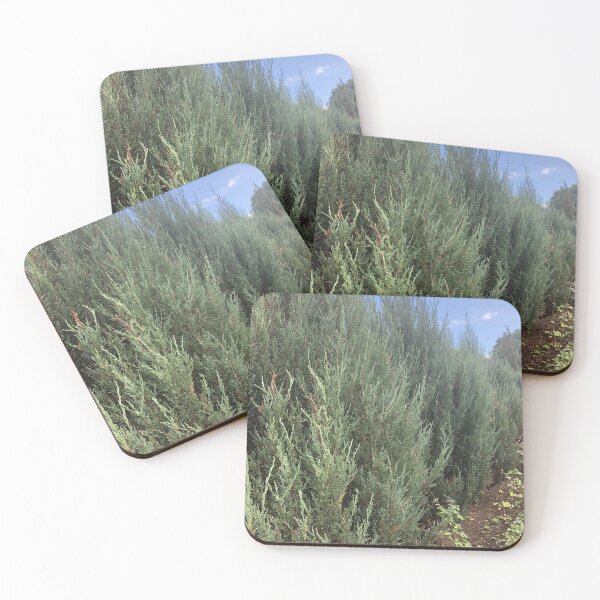 Item preview, Pine Trees Evergreen Nature designed and sold by Kaushal Pal.