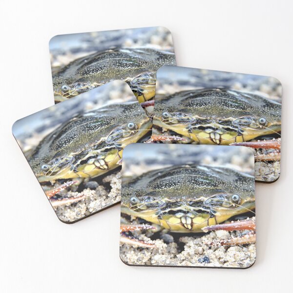 Item preview, Blue Claw Crab in the Sand designed and sold by Kim McClain Gregal.