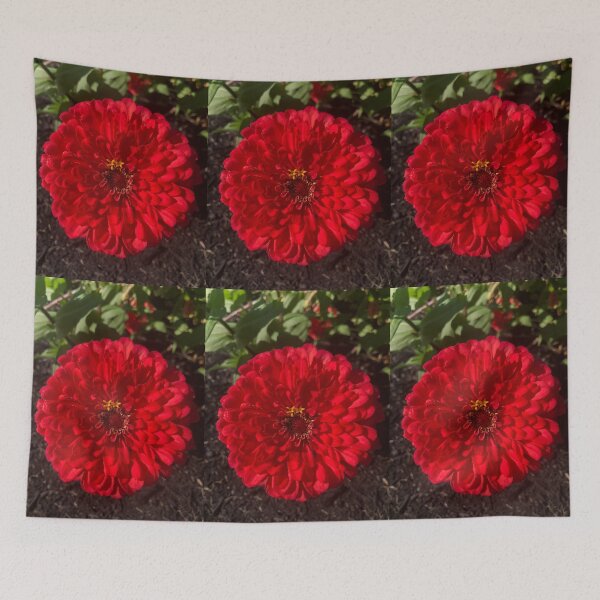 Item preview, California Giants Zinnia Flower designed and sold by Kaushal Pal.