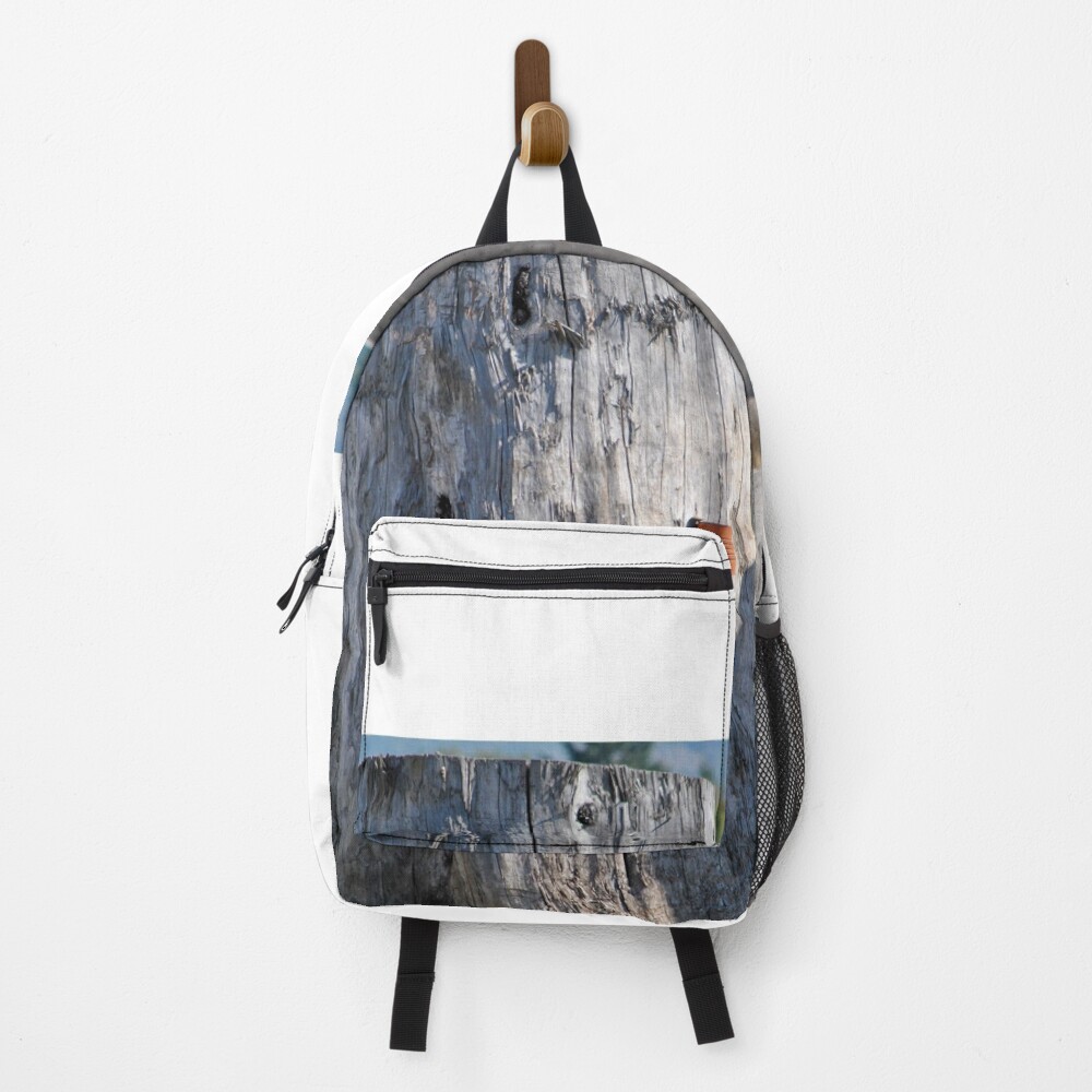 Item preview, Backpack designed and sold by xanthriah.