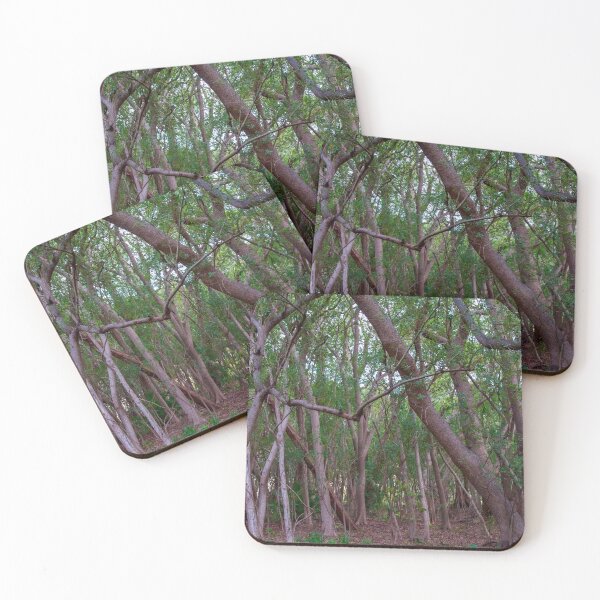 Item preview, Trees, leaves, peace designed and sold by ChrisJoubert.