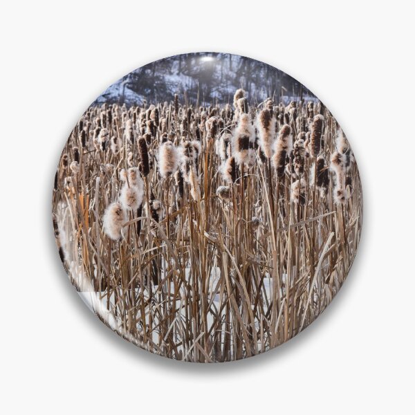 Item preview, Bull Rushes in Winter. designed and sold by CanadianWild418.