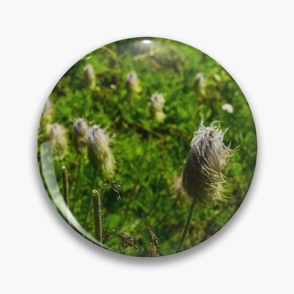Item preview, Alpine Plants. designed and sold by CanadianWild418.
