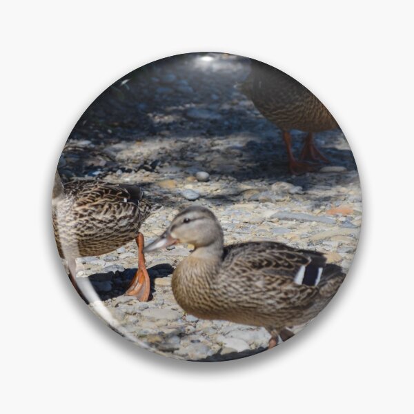 Item preview, Ducklings in the Spring. designed and sold by CanadianWild418.
