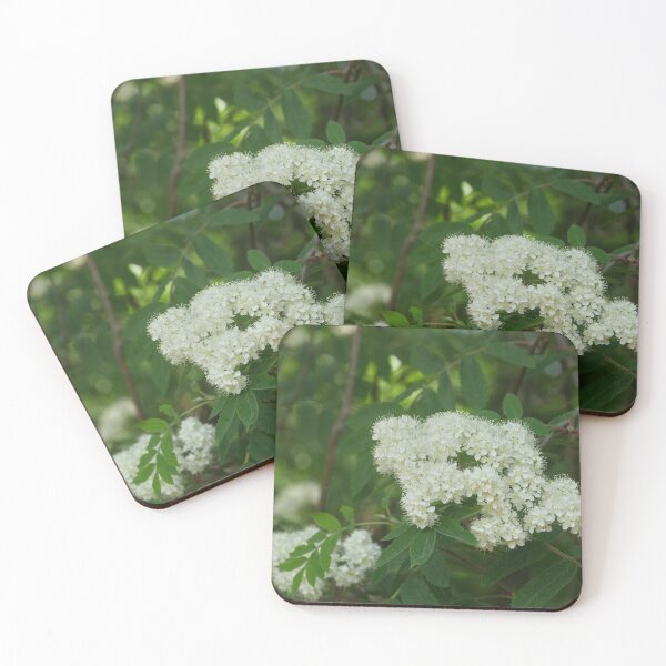 Item preview, Flowering mountain ash designed and sold by mrivserg.