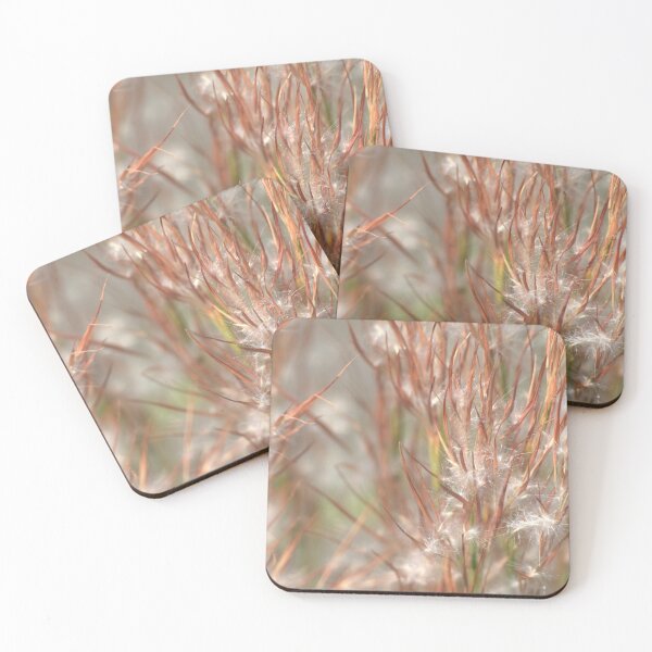 Item preview, Seeds designed and sold by Kim McClain Gregal.