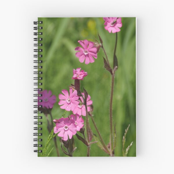 Item preview, flowers Silene dioica close to designed and sold by mrivserg.