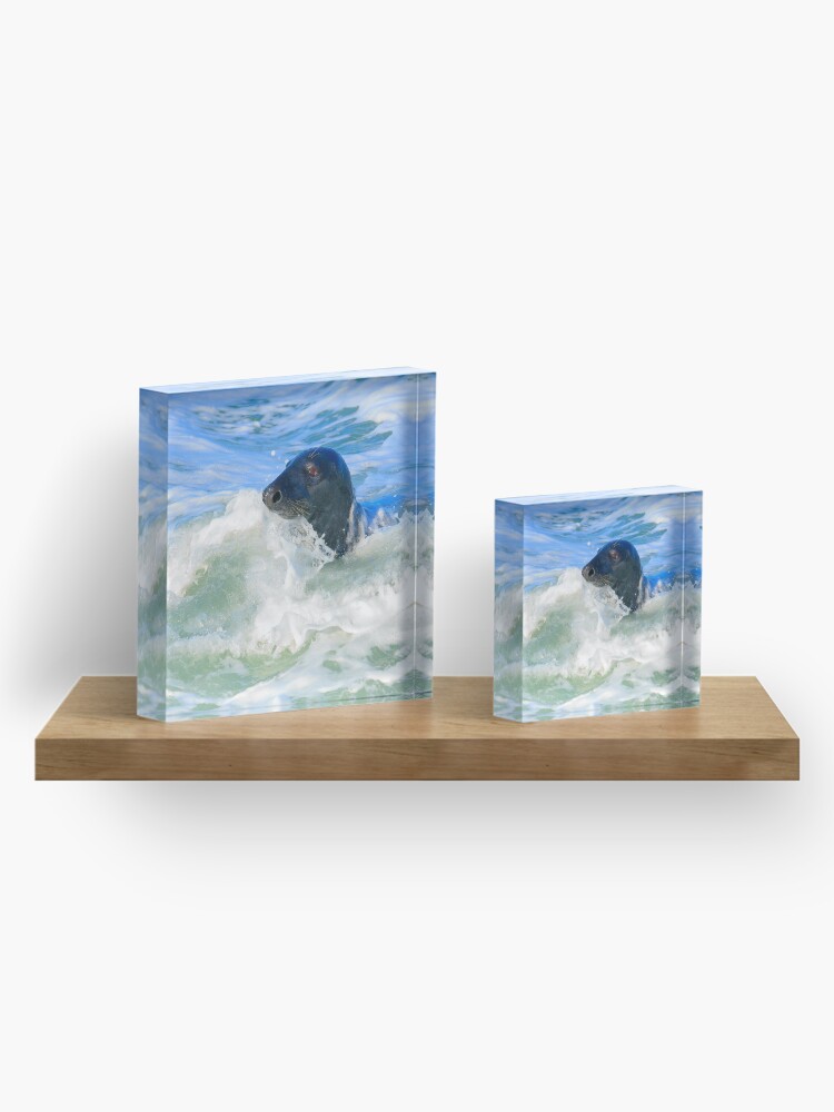 Alternate view of Grey Seal (Halichoerus grypus) Acrylic Block