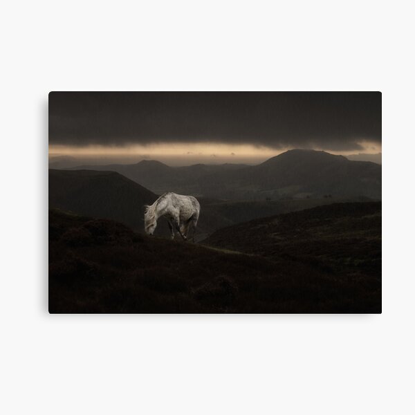 Wild White Horse Of The Shropshire Hills Canvas Print