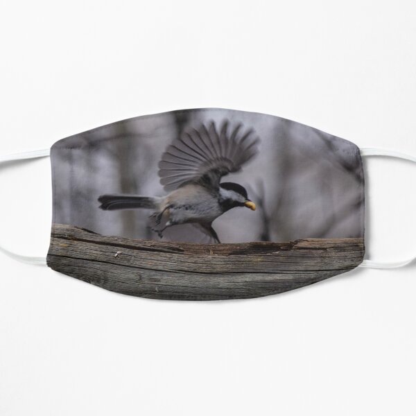 Chickadee and Peanut. Mask