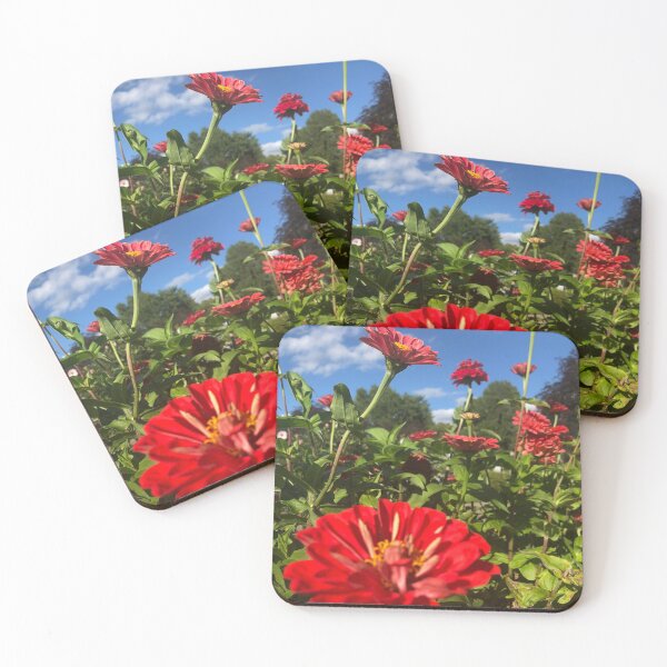 Item preview, Giant Dahlia Mix Garden designed and sold by Kaushal Pal.