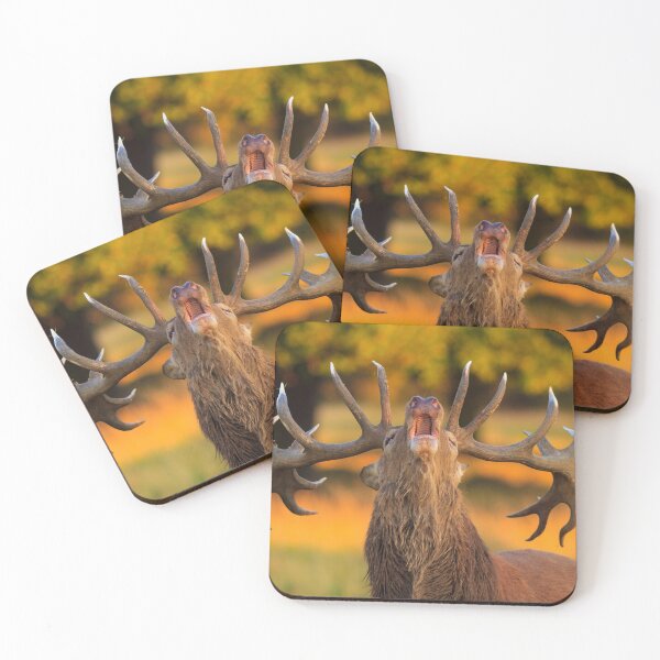 Item preview, Red Deer Stag (Cervus elaphus) designed and sold by RobKellyPhoto.