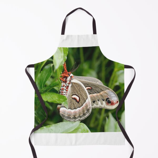 Item preview, Cecropia Moth designed and sold by BRENDA DOHERTY.