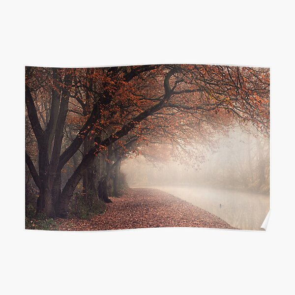 The Duck On The Foggy Canal Poster
