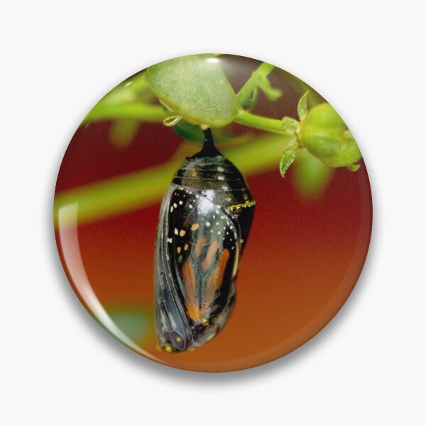 Item preview, Crisálida de mariposa monarca vibrante designed and sold by BRENDA DOHERTY.